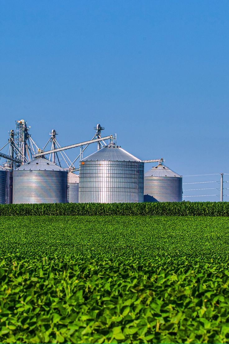 Silos LOCMIL